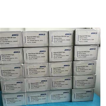 Hypersil液相色谱柱SinoChrom ODS-AP